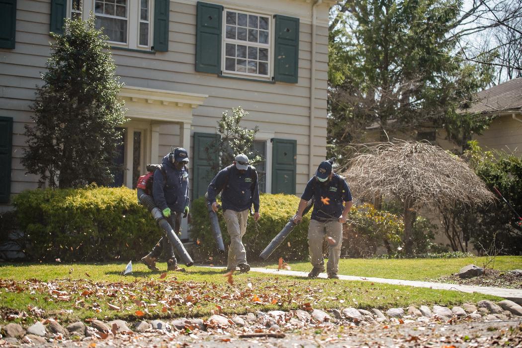 Landscape Solutions - Union, NJ