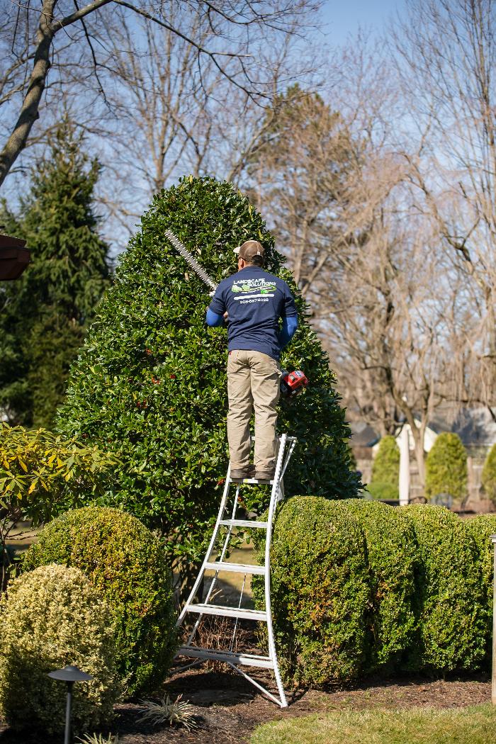 Landscape Solutions - Union, NJ