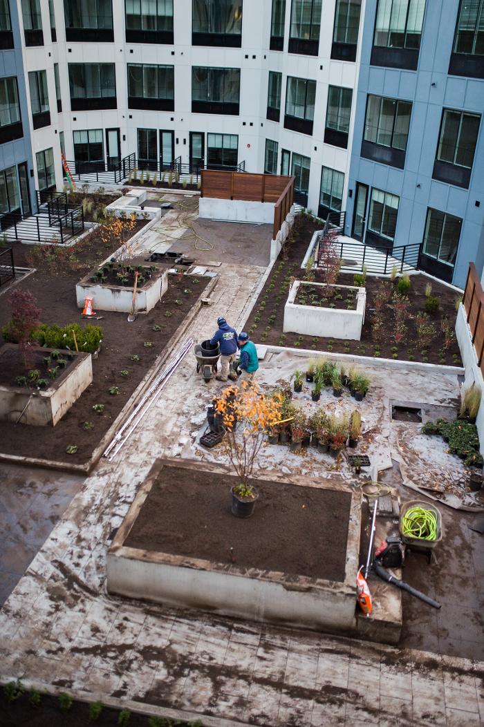 Landscape Solutions - Union, NJ