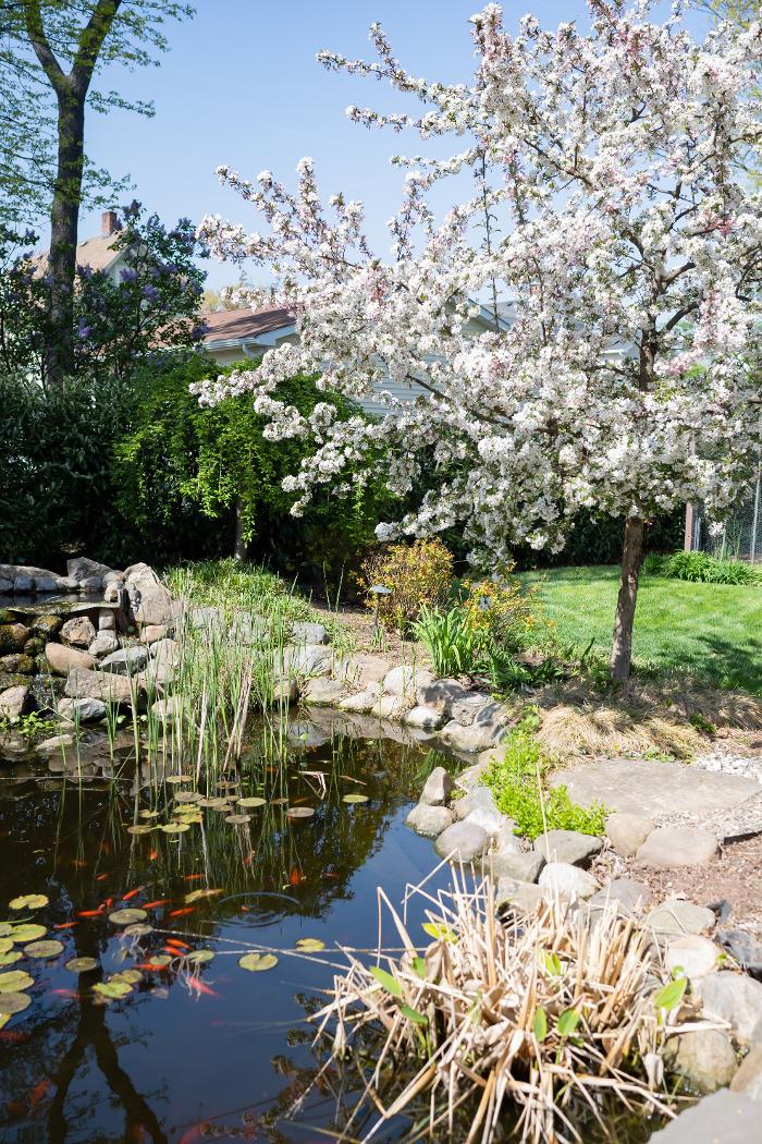 Landscape Solutions - Union, NJ