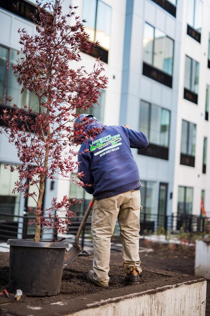 Landscape Solutions - Union, NJ