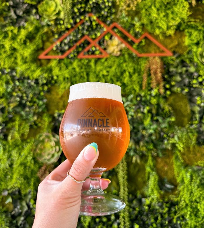 Pinnacle Brewing Company - Scottsdale, AZ