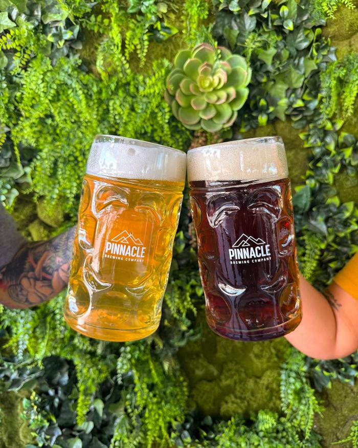 Pinnacle Brewing Company - Scottsdale, AZ