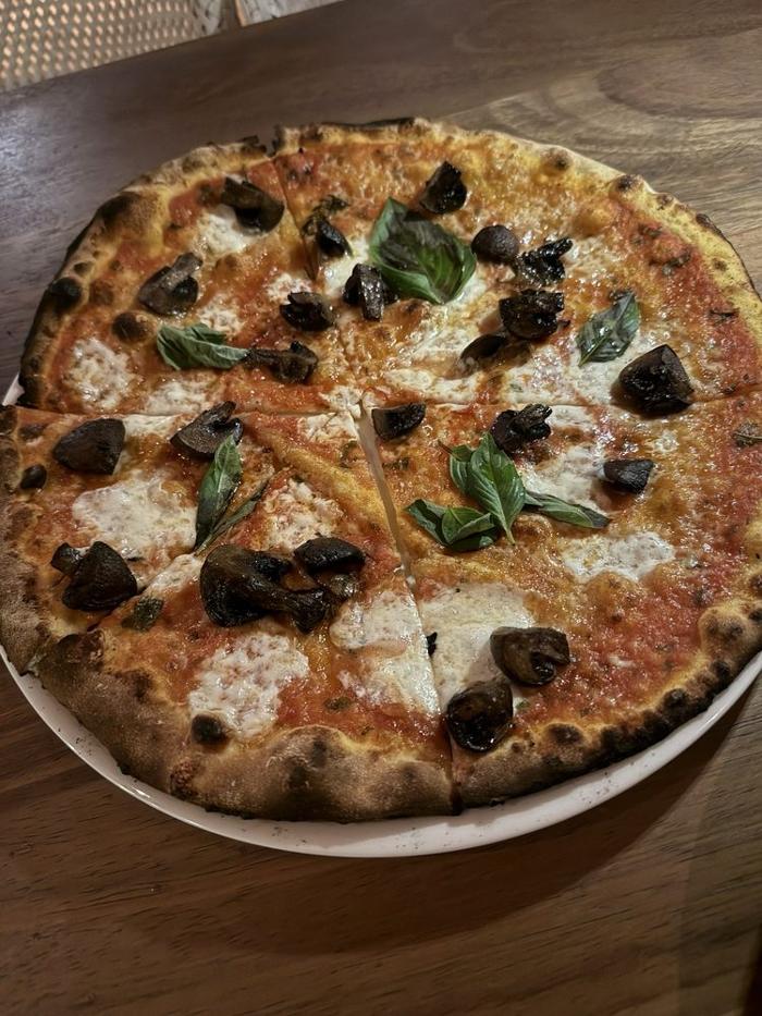 The Amalfi Llama - Aventura, FL