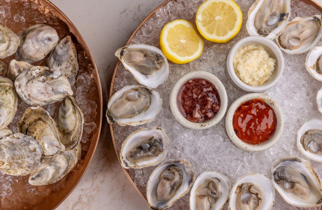 The Amalfi Llama - Aventura, FL