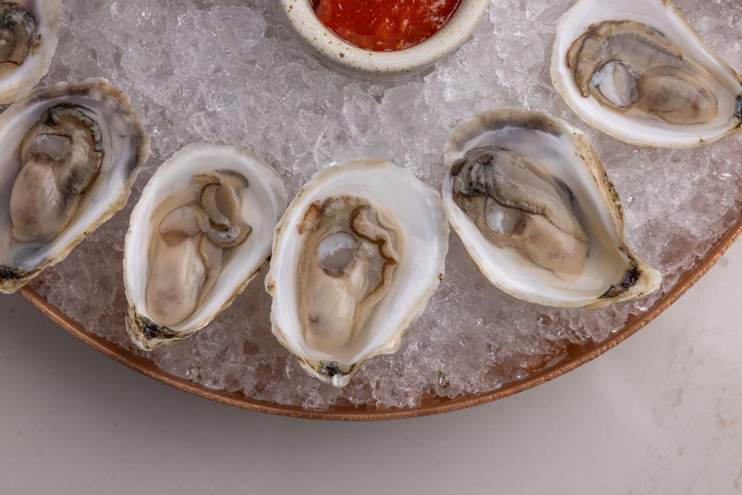 The Amalfi Llama - Aventura, FL