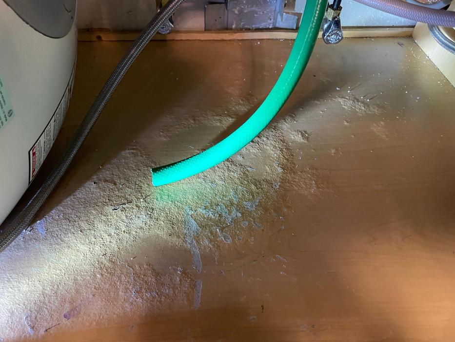 Mold Freedom - Castle Rock, CO