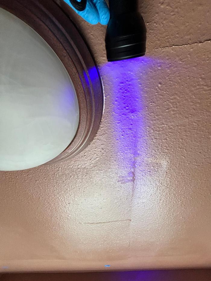 Mold Freedom - Castle Rock, CO