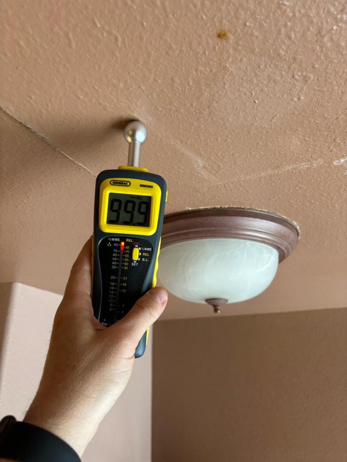 Mold Freedom - Castle Rock, CO