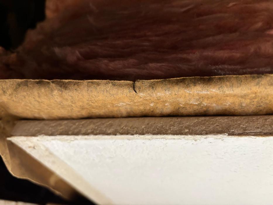 Mold Freedom - Castle Rock, CO