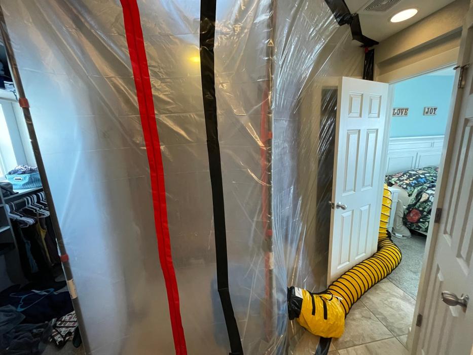 Mold Freedom - Castle Rock, CO