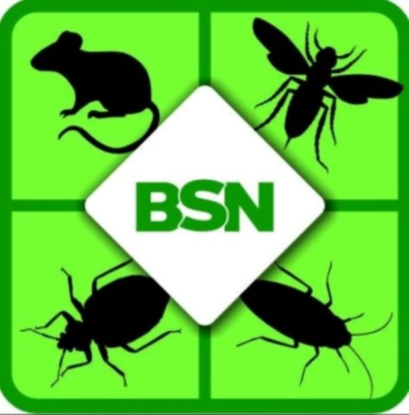 BSN - Bailleux Service Nuisibles service pour animaux