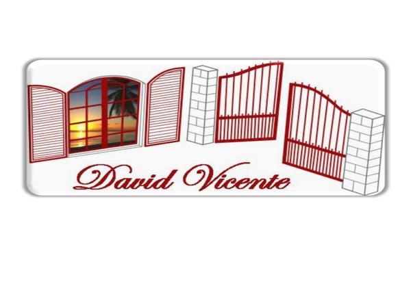 David Vicente Portails