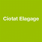 Ciotat Elagage travaux agricoles