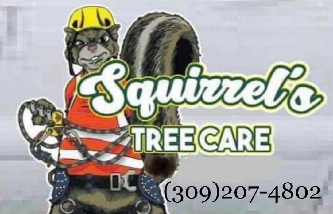 Squirrels Tree Care - Rock Island, IL