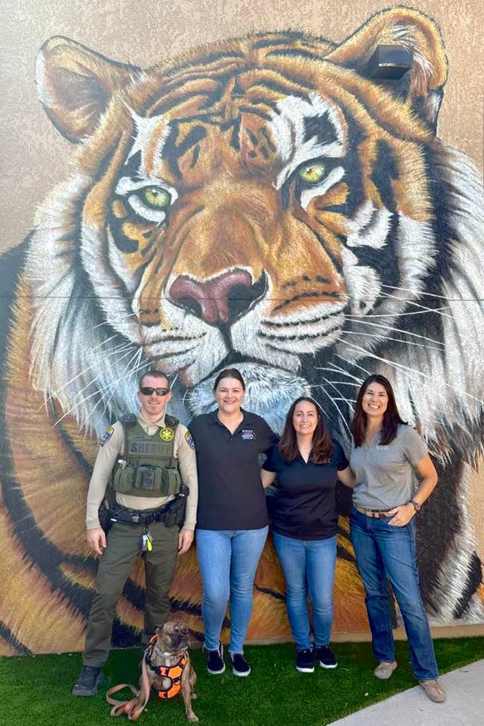 Telesis Preparatory Academy - Lake Havasu City, AZ