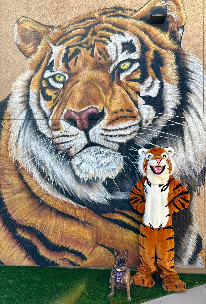 Telesis Preparatory Academy - Lake Havasu City, AZ