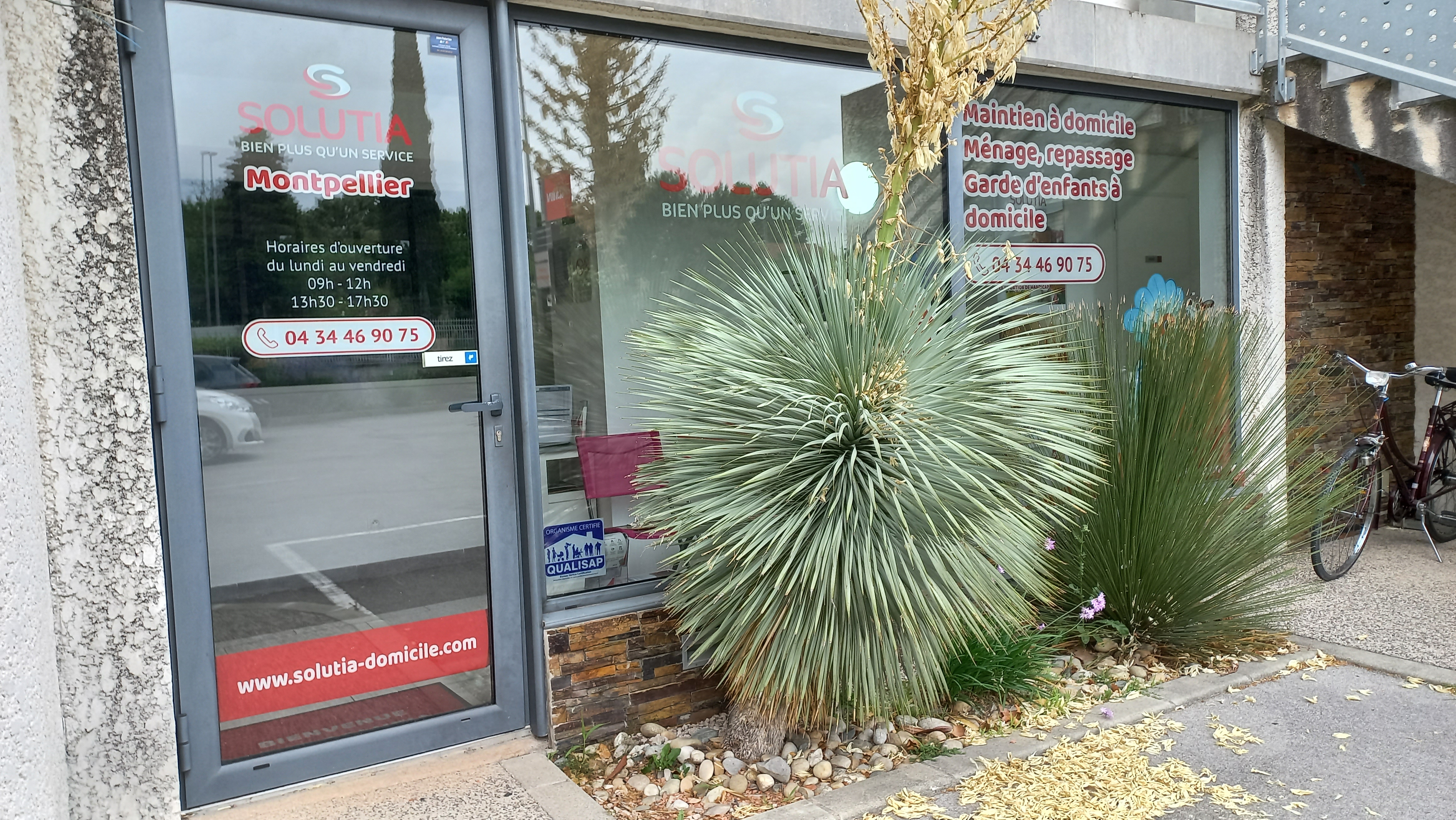 Miniature de la galerie