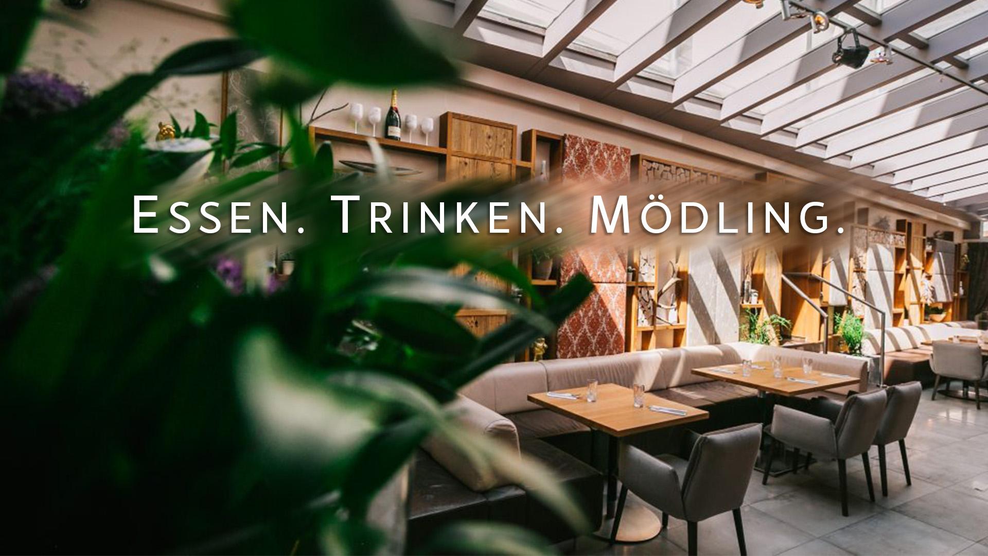 Amterl Mödling, Kaiserin Elisabethstraße in Mödling