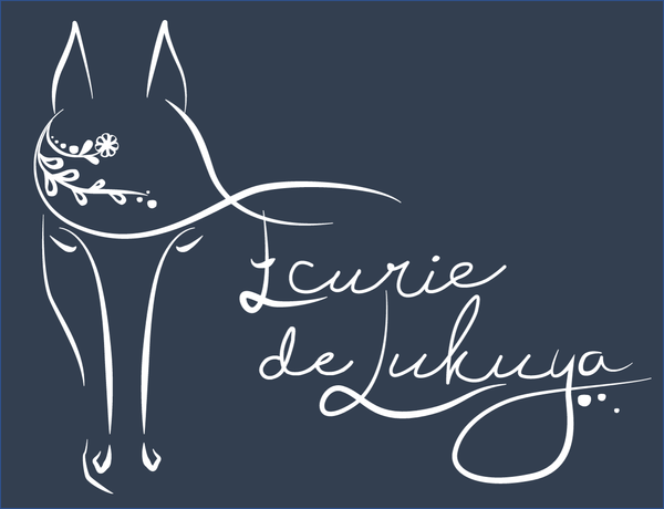 Ecurie de Lukuya