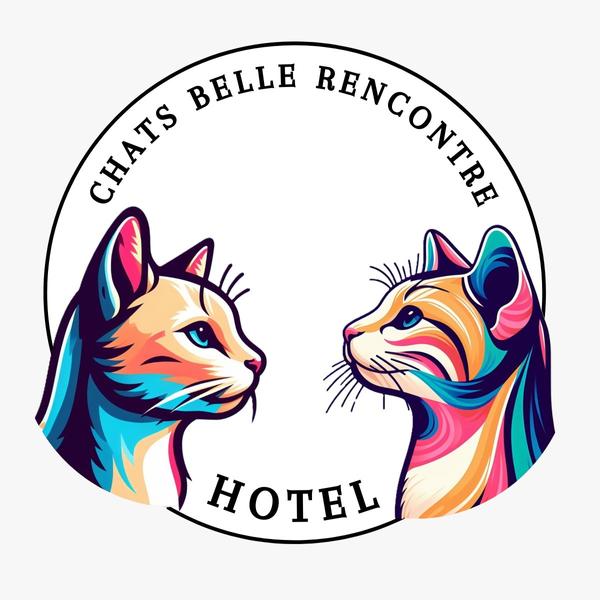 Chats Belle Rencontre
