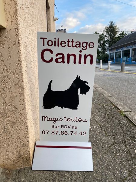 MAGIC TOUTOU toilettage de chien et chat