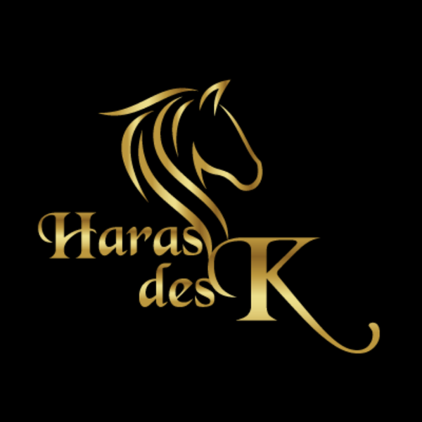 Haras Des K centre équestre, équitation