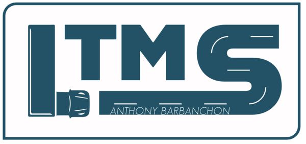 Ltms agent et cabinet d'affaires