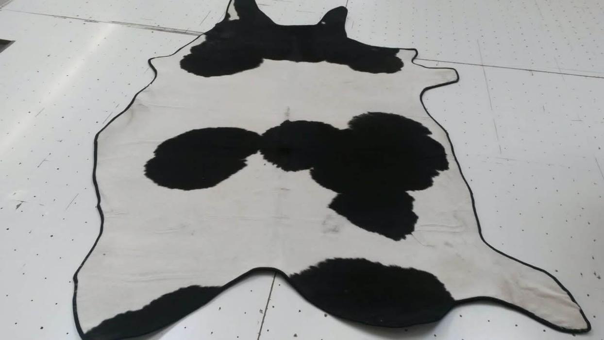 Blümel GmbH, Albin-Köbis-Straße in Köln