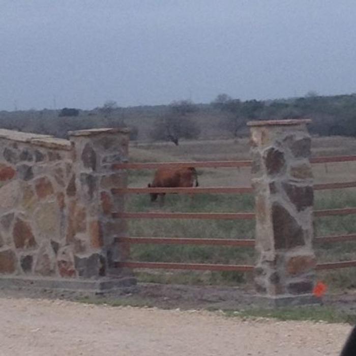 Richard Laubach Tile and Remodeling - Flatonia, TX