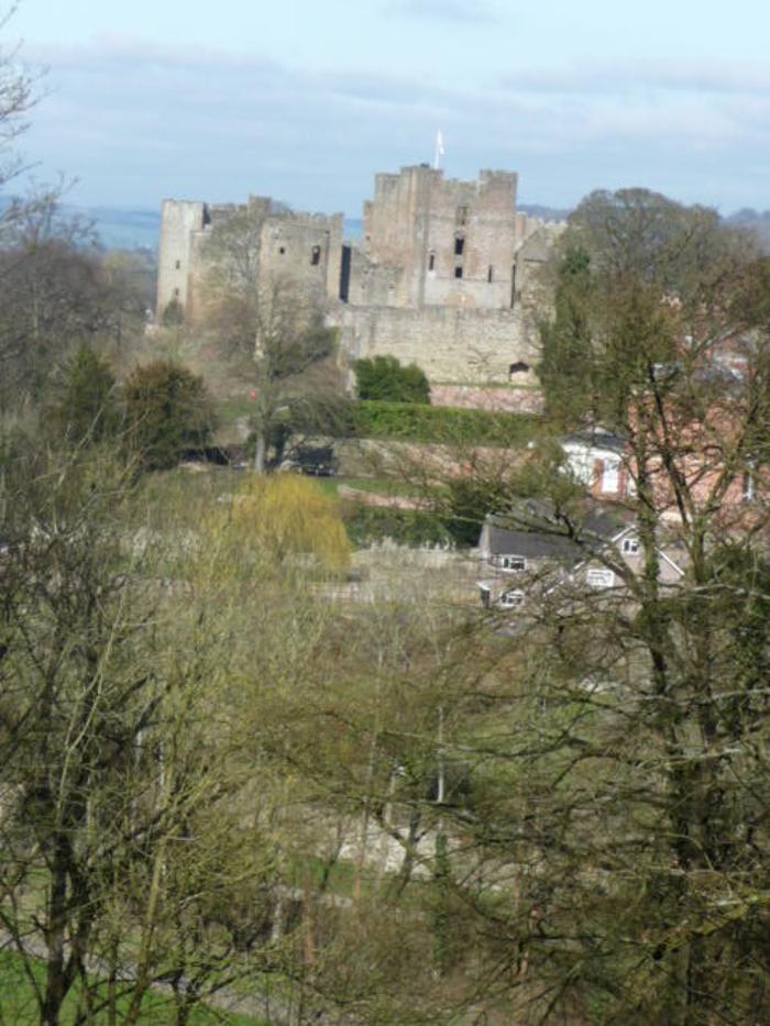Ludlow castle from Whitcliffe