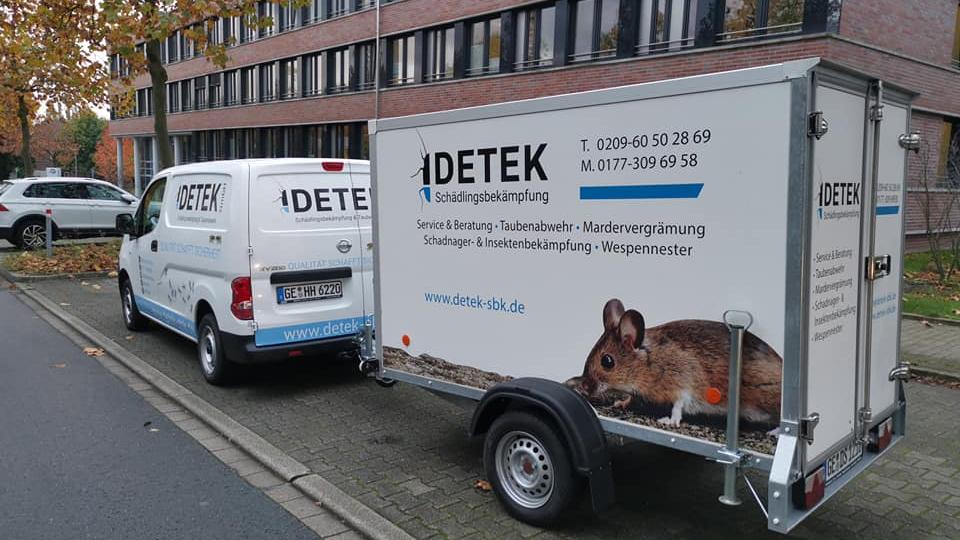 DETEK Schädlingsbekämpfung & Kammerjäger Münster - NRW, Rechede in Olfen