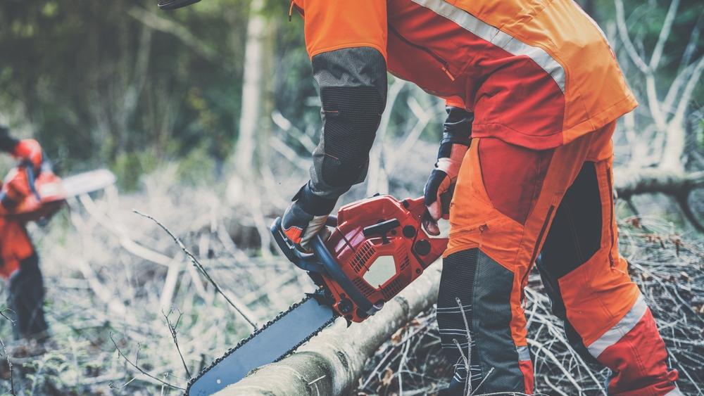 Klaus Peter Feller | Baumfällungen - Grünschnitt - Brennholzverkauf, Kernstraße in Grünberg