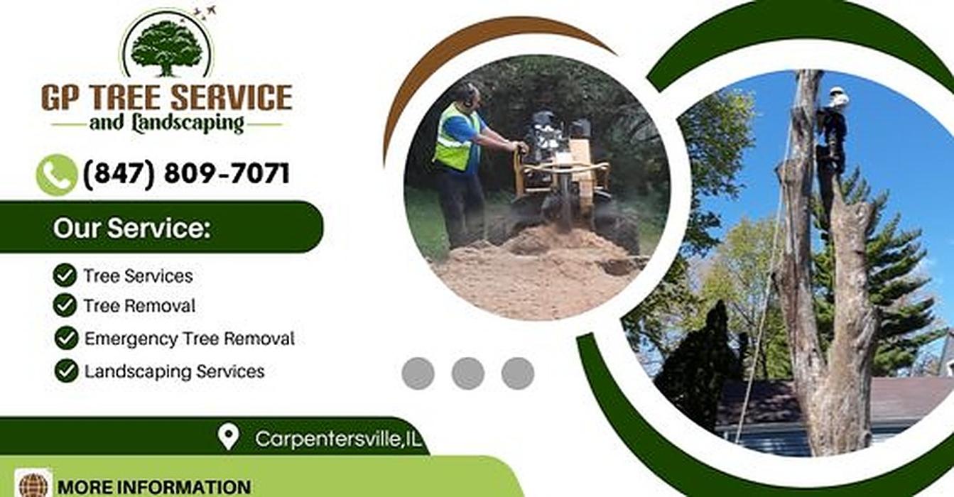 GP Tree Service and Landscaping - Carpentersville, IL