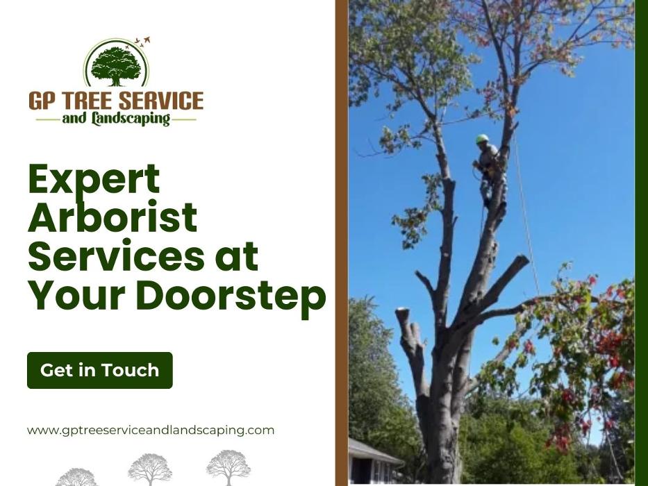 GP Tree Service and Landscaping - Carpentersville, IL