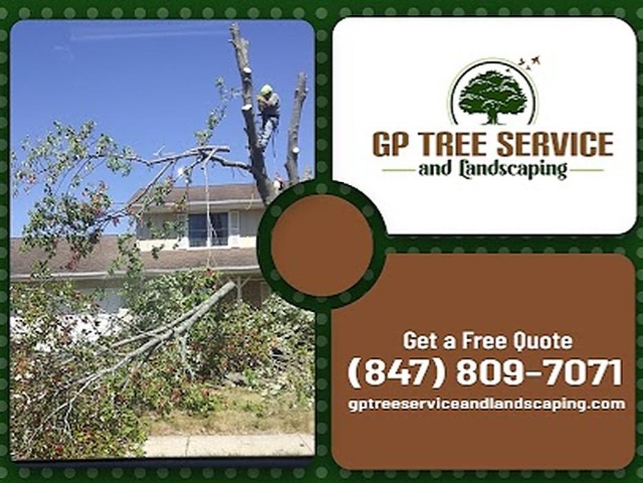 GP Tree Service and Landscaping - Carpentersville, IL