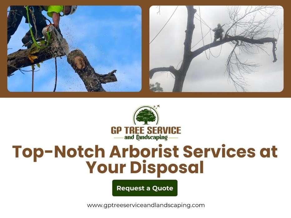 GP Tree Service and Landscaping - Carpentersville, IL