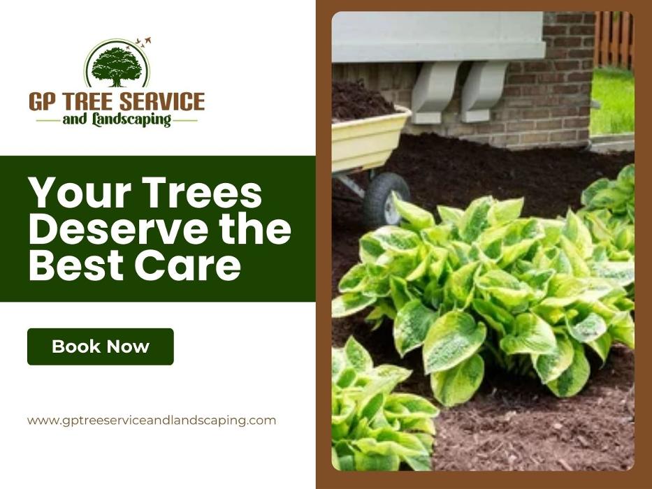 GP Tree Service and Landscaping - Carpentersville, IL
