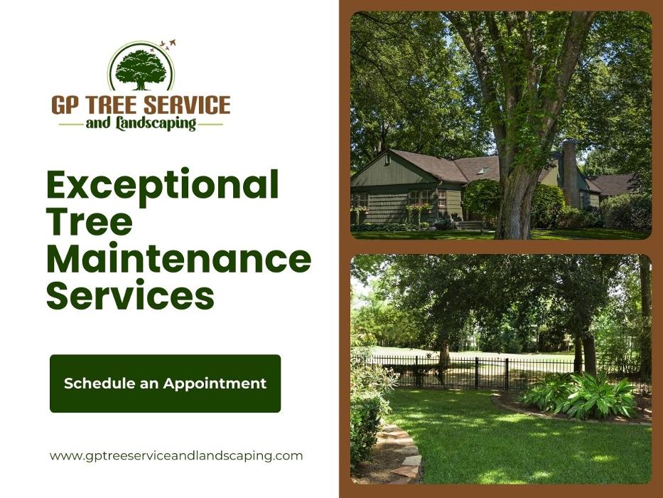 GP Tree Service and Landscaping - Carpentersville, IL