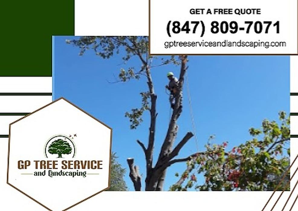 GP Tree Service and Landscaping - Carpentersville, IL