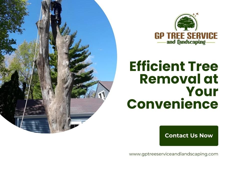 GP Tree Service and Landscaping - Carpentersville, IL