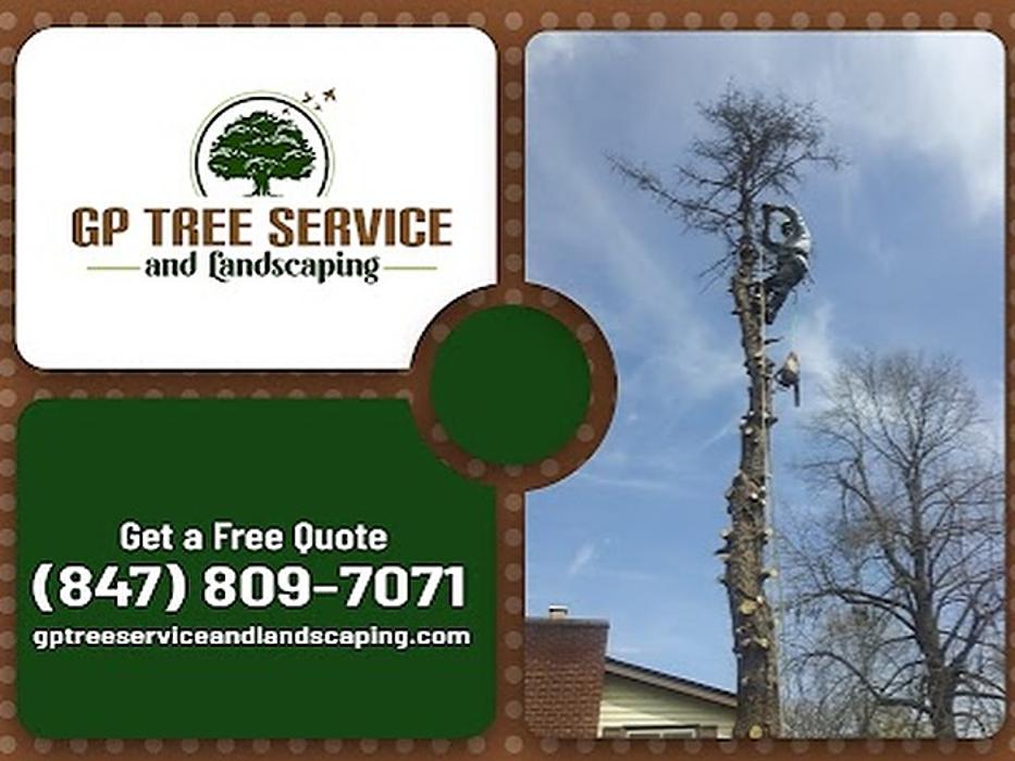 GP Tree Service and Landscaping - Carpentersville, IL