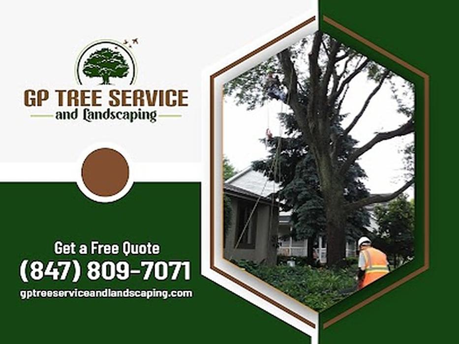 GP Tree Service and Landscaping - Carpentersville, IL