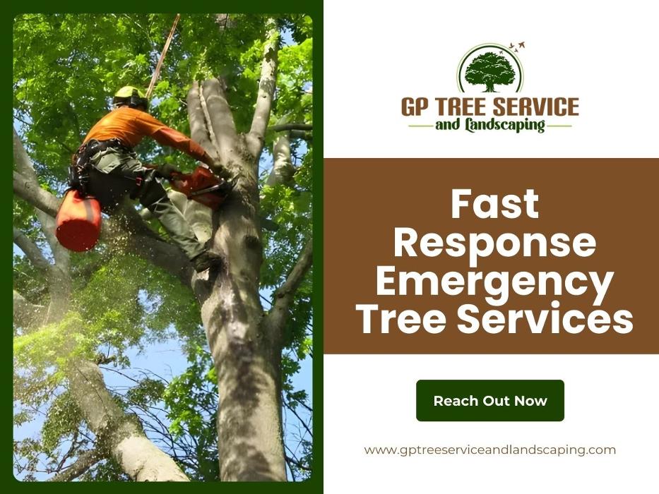 GP Tree Service and Landscaping - Carpentersville, IL