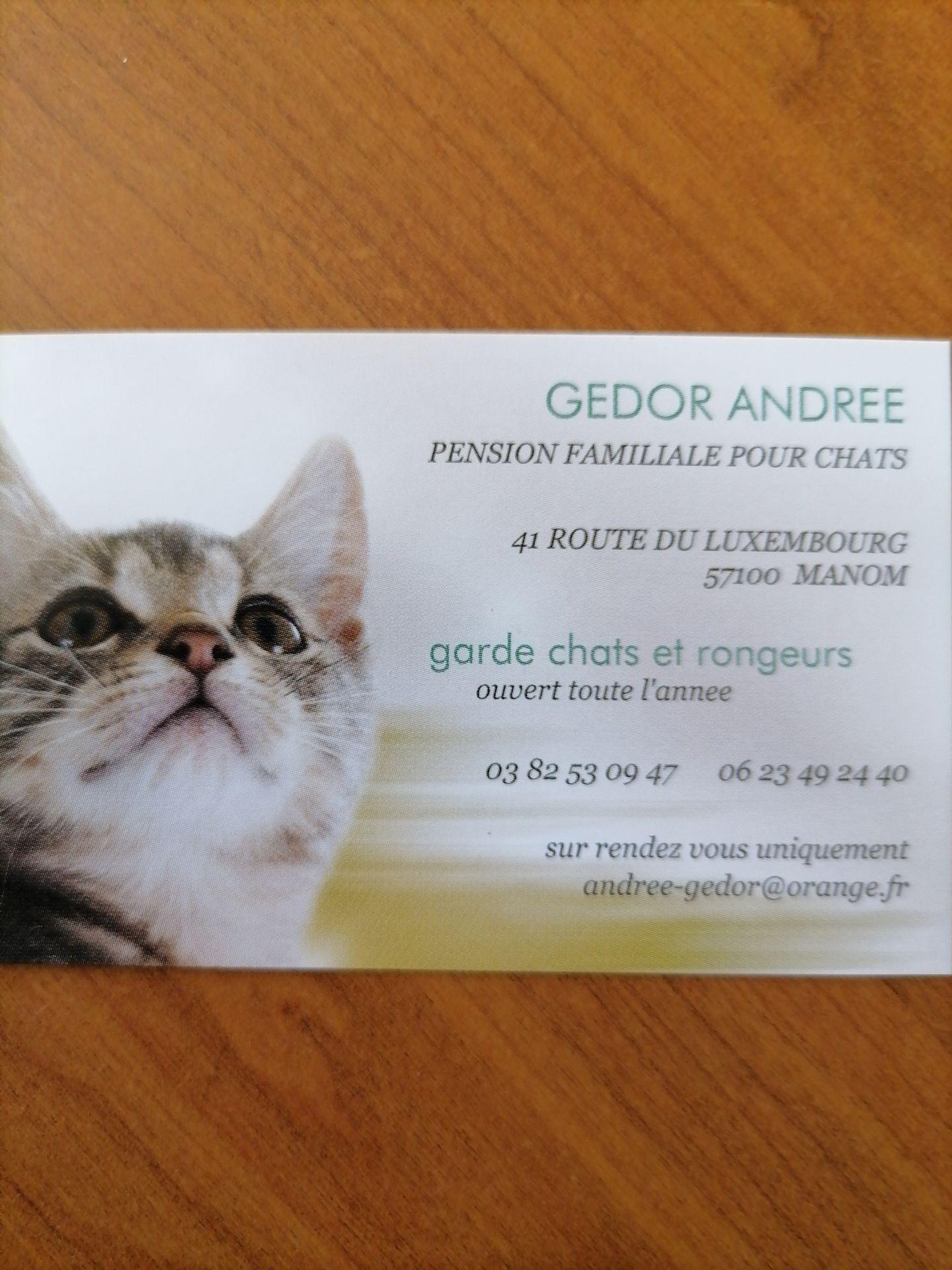 galerie image