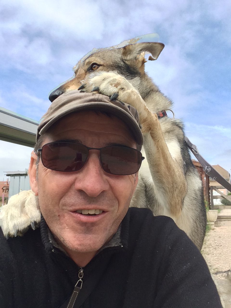 galerie image galerie image