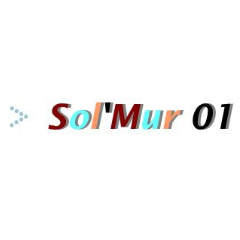 SOL'MUR 01 peintre (artiste)