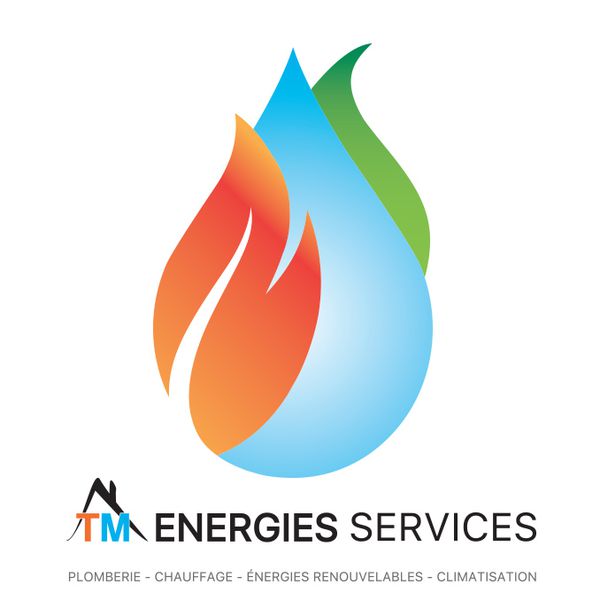 Tm Energies Services Expert