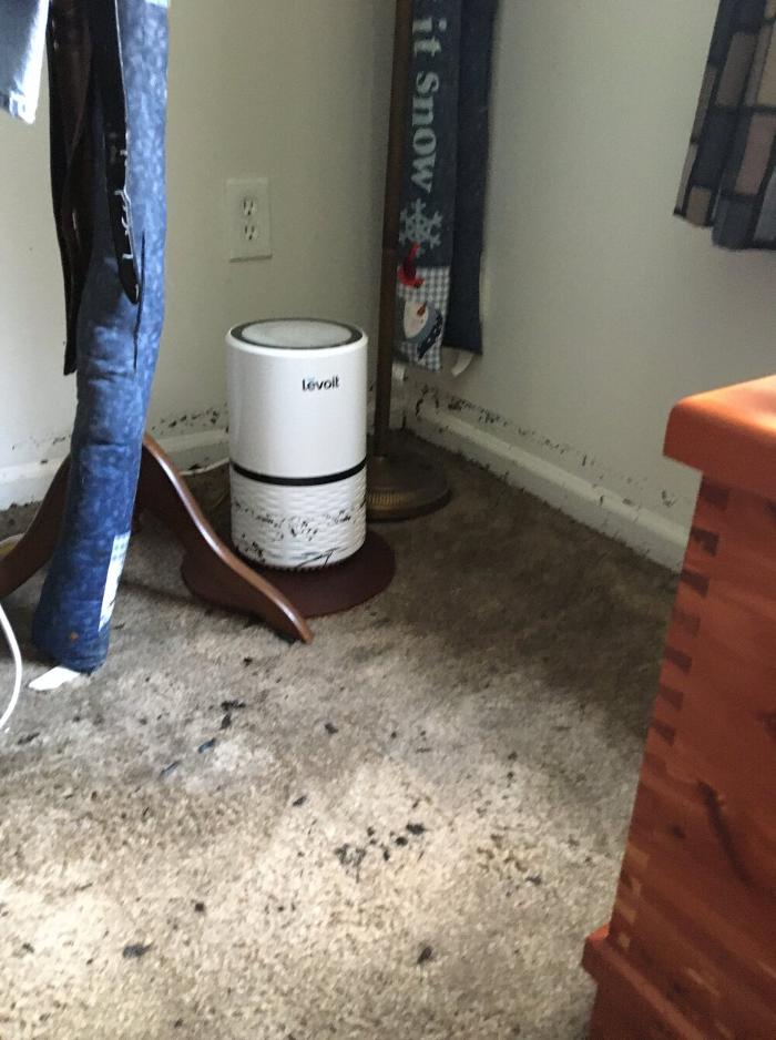 True North Restoration of SE PA - Royersford, PA