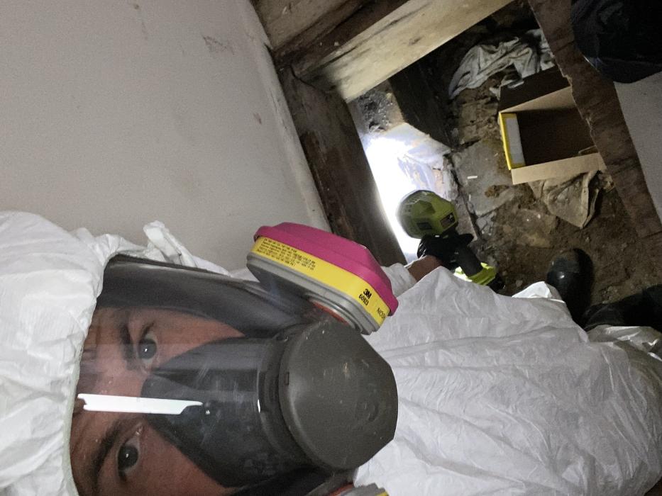 True North Restoration of SE PA - Royersford, PA